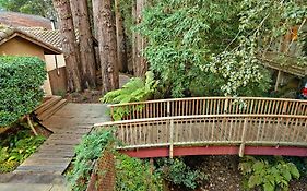 Mill Valley Inn